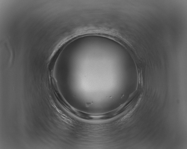 X0000054461501200507291334