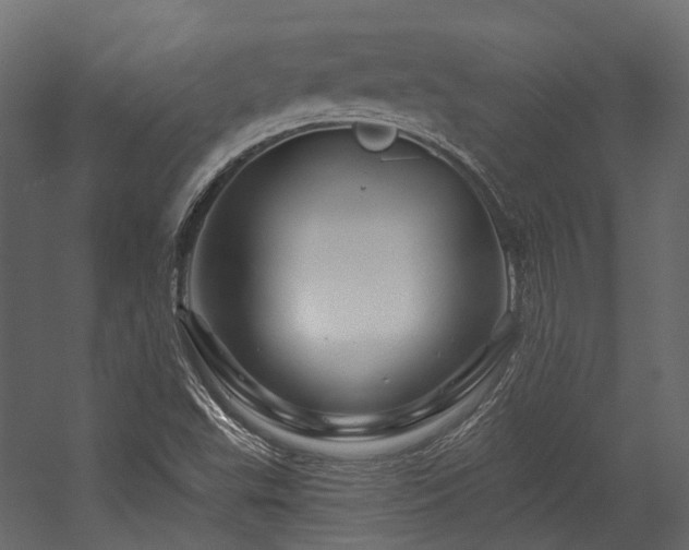 X0000054461503200507291334