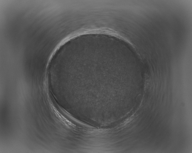 X0000054461506200507291334