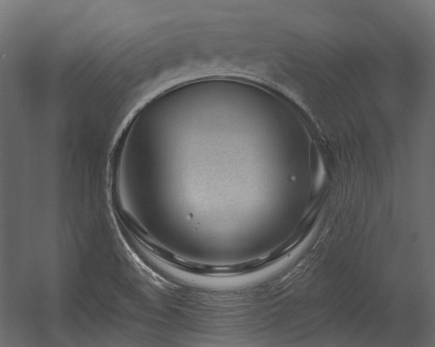 X0000054461508200507291334