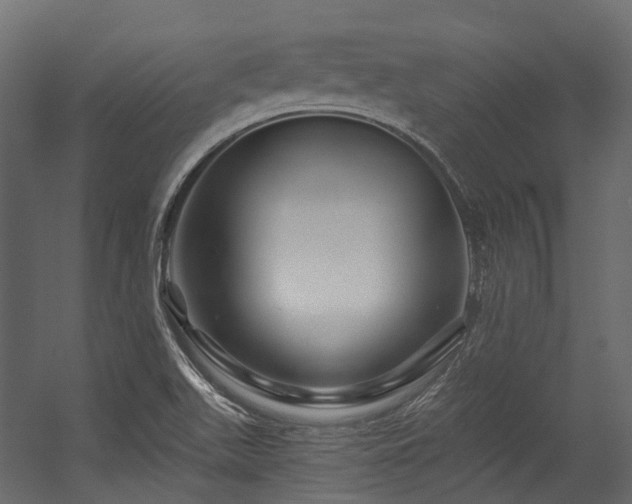 X0000054461511200507291334