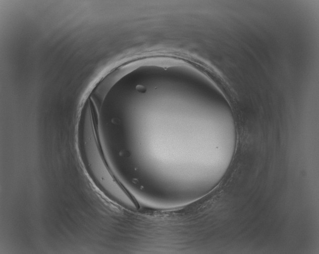 X0000054461512200507291334
