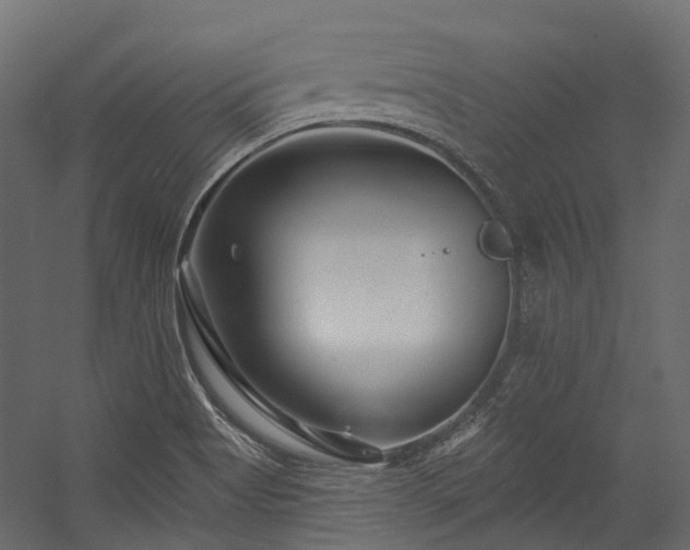 X0000054461513200507291334