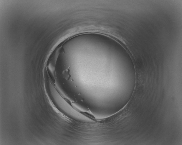 X0000054461515200507291334