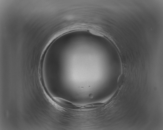 X0000054461531200507291335
