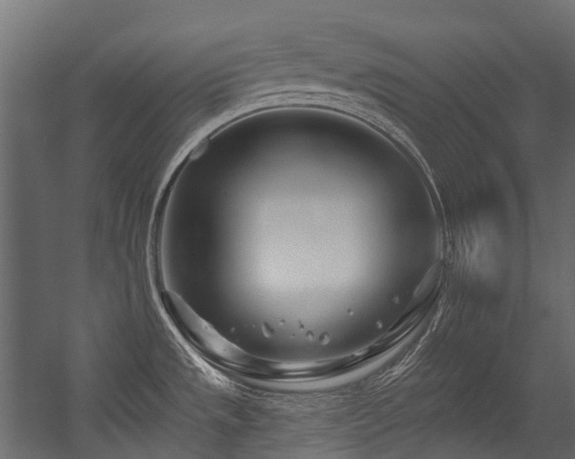 X0000054461533200507291335