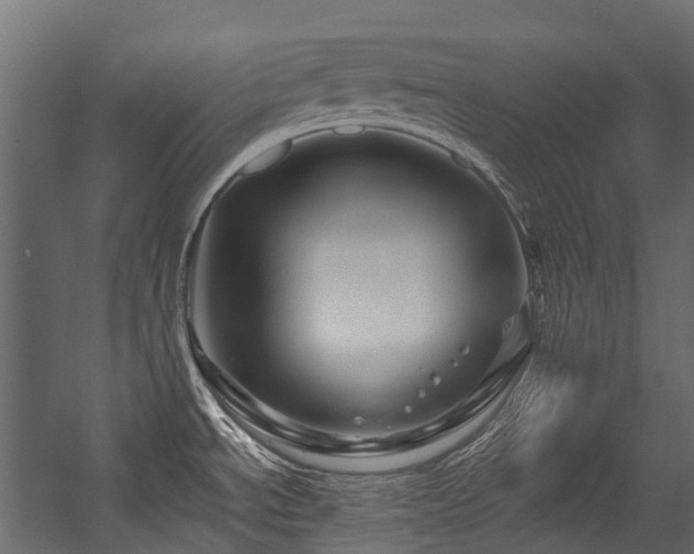 X0000054461534200507291335