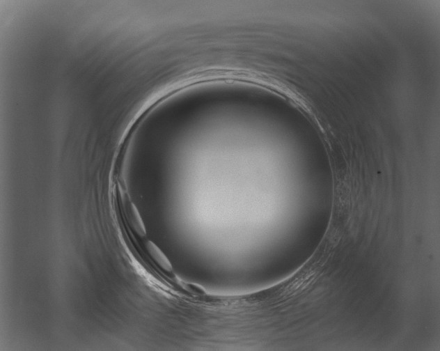 X0000054461535200507291335