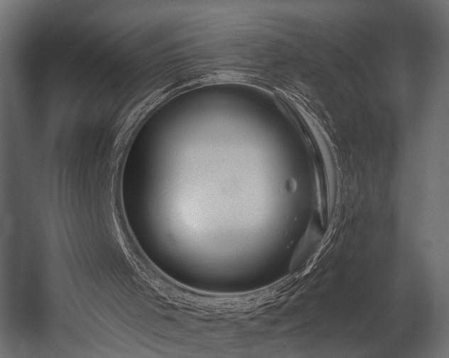 X0000054460001200508011514