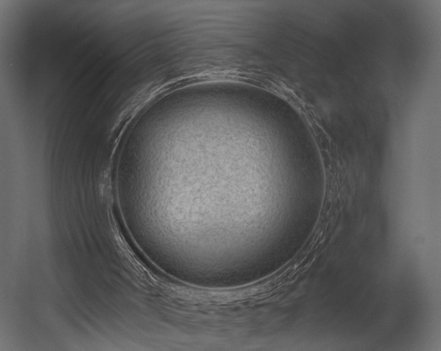 X0000054460002200508011514