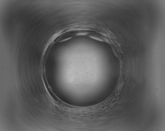 X0000054460003200508011514