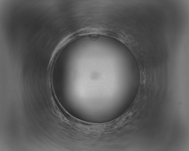 X0000054460004200508011514