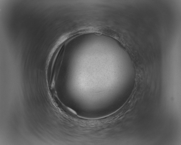 X0000054460006200508011514