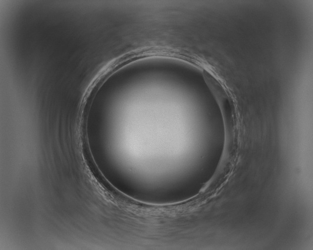 X0000054460007200508011514