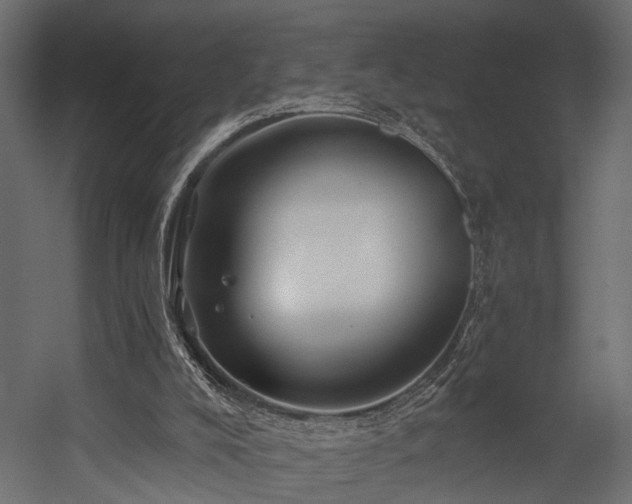 X0000054460008200508011514