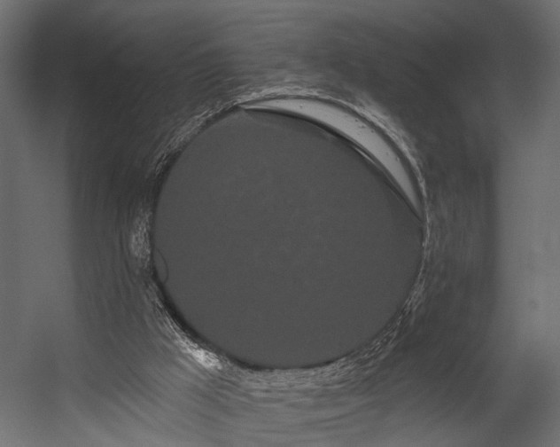 X0000054460009200508011514