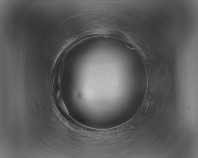 X0000054460011200508011514