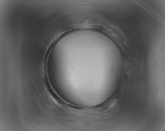 X0000054460012200508011514