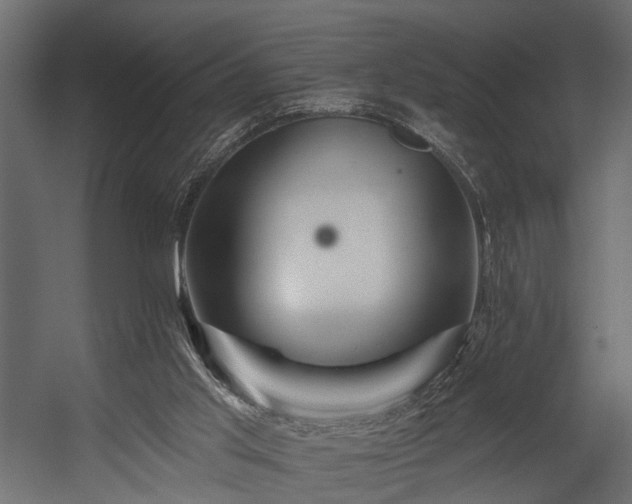 X0000054460013200508011514