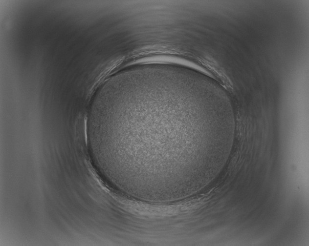 X0000054460014200508011514