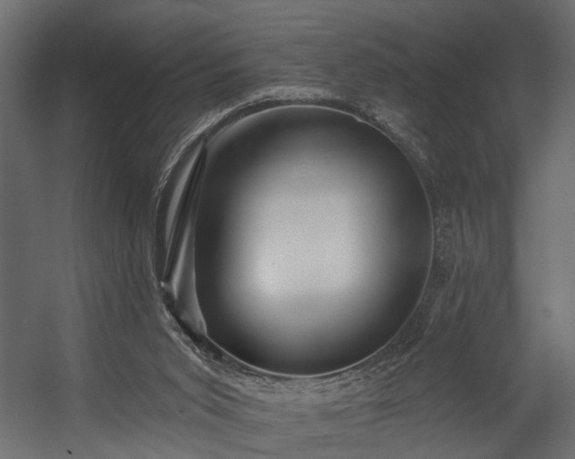 X0000054460015200508011514