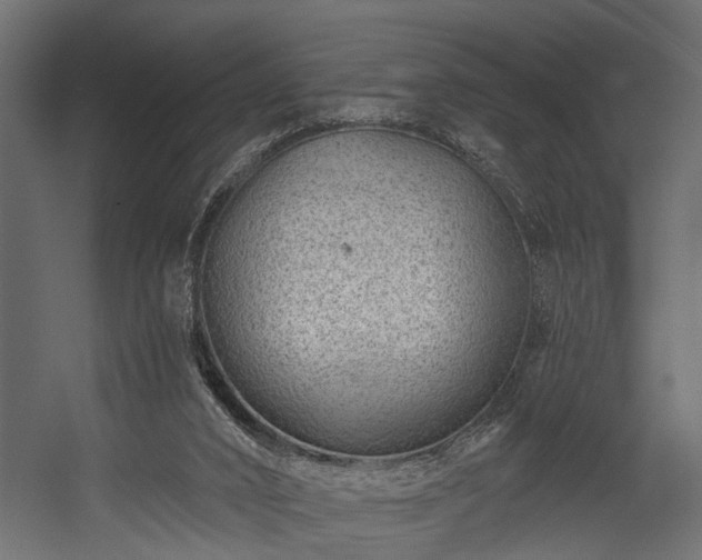 X0000054460016200508011513