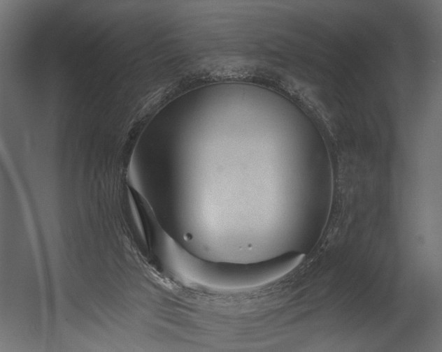 X0000054460017200508011513