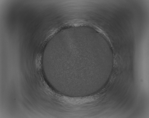 X0000054460018200508011513