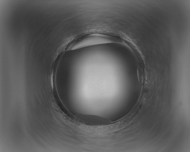 X0000054460019200508011513