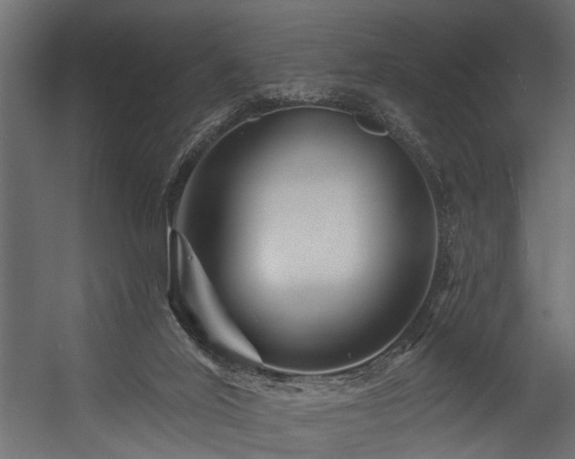 X0000054460020200508011513