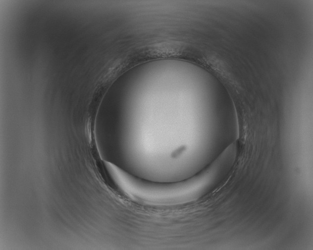 X0000054460021200508011513