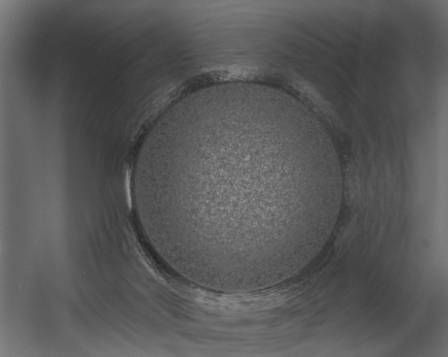 X0000054460022200508011513