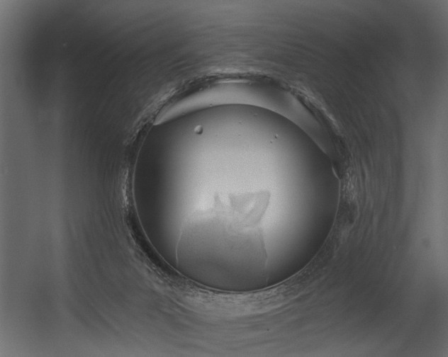 X0000054460023200508011513