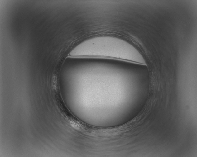 X0000054460025200508011513