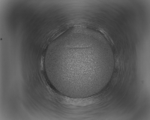 X0000054460026200508011513