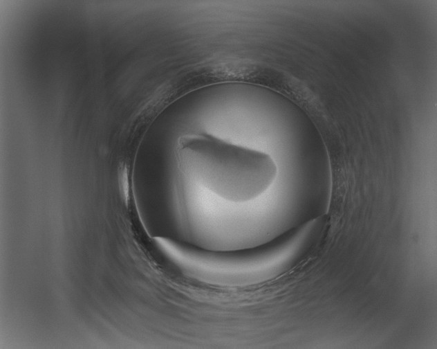 X0000054460027200508011513