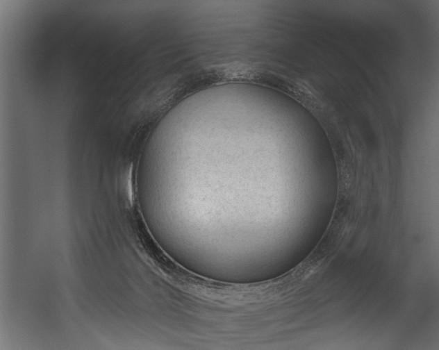 X0000054460028200508011513