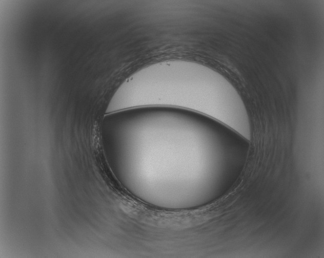 X0000054460029200508011513