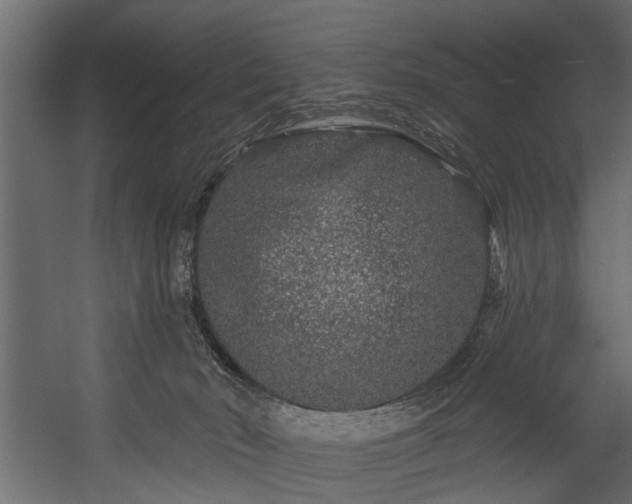 X0000054460030200508011513