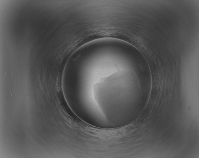 X0000054460031200508011513