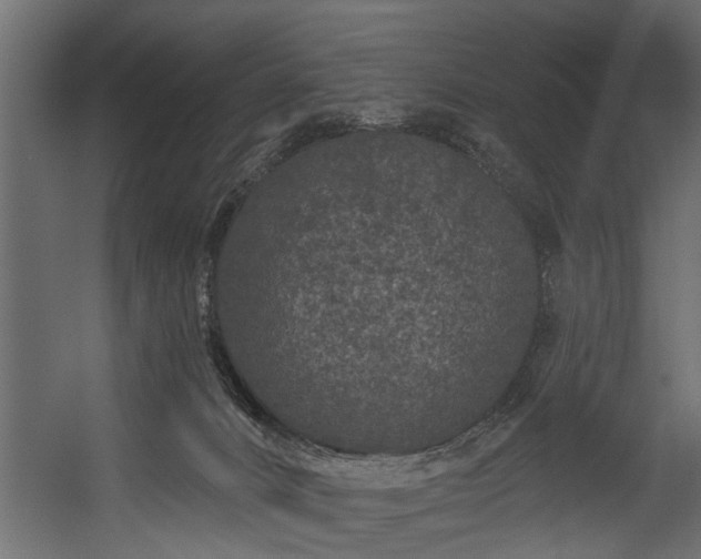 X0000054460032200508011513