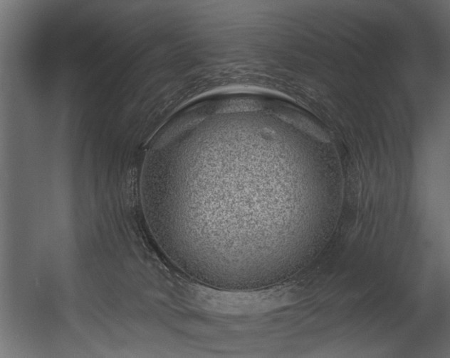 X0000054460034200508011513