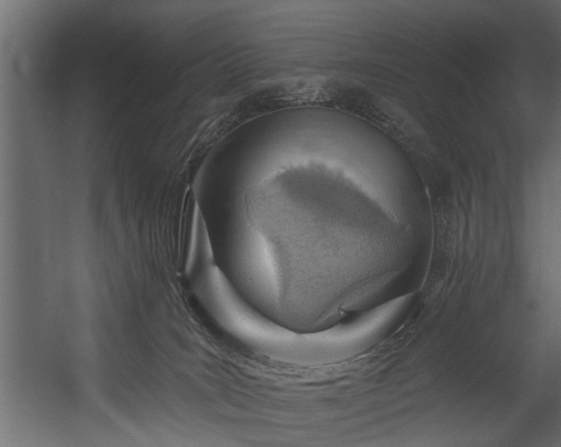 X0000054460035200508011513