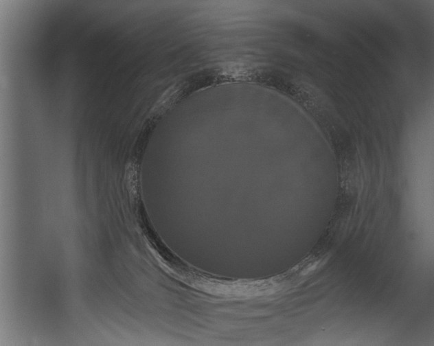 X0000054460036200508011513