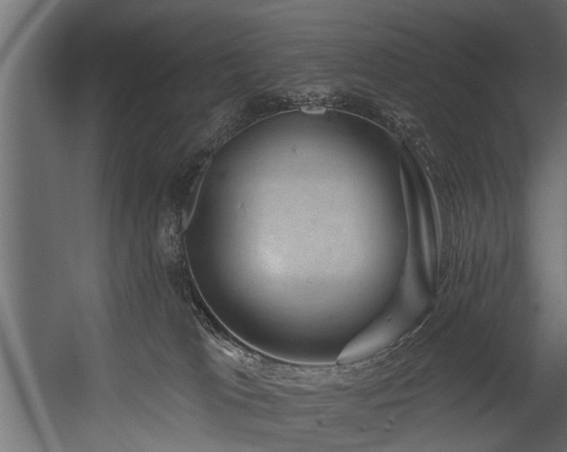 X0000054460037200508011513