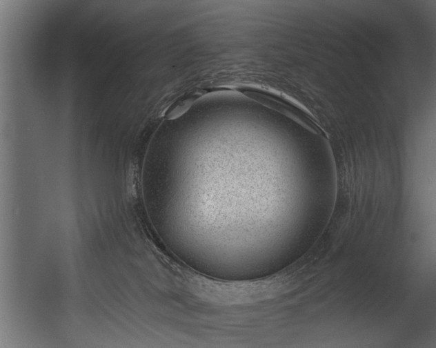 X0000054460038200508011513