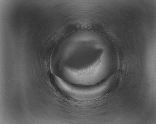 X0000054460039200508011513