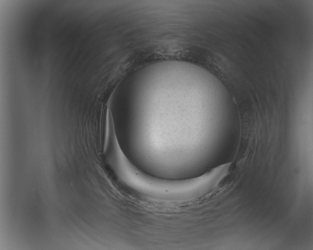 X0000054460040200508011513