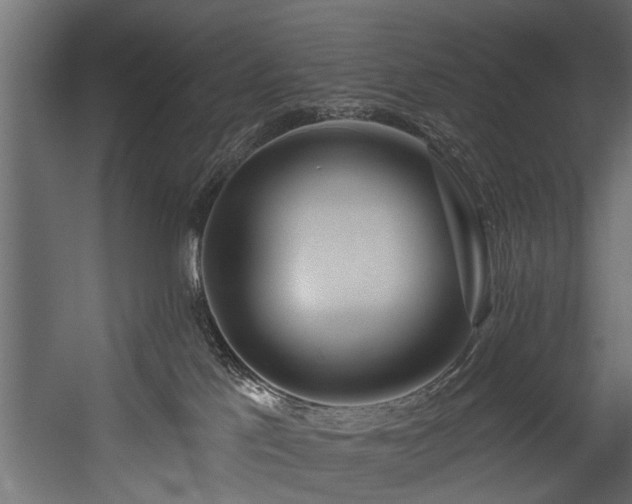 X0000054460041200508011513