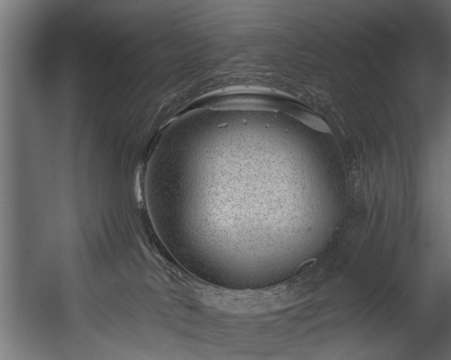 X0000054460042200508011513